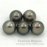 Lot de 5 Perles de Tahiti Semi-Rondes C de 9 à 9.3 mm