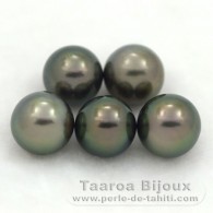 Lot de 5 Perles de Tahiti Semi-Rondes C de 9  9.3 mm