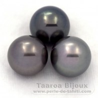 Lot de 3 Perles de Tahiti Rondes C de 11.6  11.9 mm
