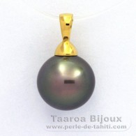 Pendentif en Or 18K et 1 Perle de Tahiti Ronde B 11.5 mm