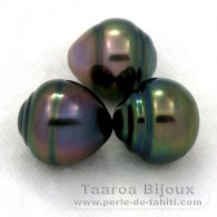 Lot de 3 Perles de Tahiti Cercles B de 9.7  9.9 mm
