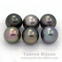 Lot de 6 Perles de Tahiti Rondes C de 8.2 à 8.4 mm