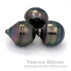 Lot de 3 Perles de Tahiti Cerclées C de 12.3 à 12.4 mm