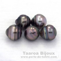 Lot de 5 Perles de Tahiti Cerclées C de 8.5 à 8.8 mm