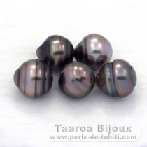 Lot de 5 Perles de Tahiti Cercles C de 8.5  8.8 mm