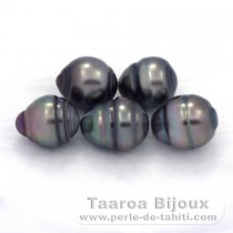 Lot de 5 Perles de Tahiti Cercles C de 8.5  8.8 mm