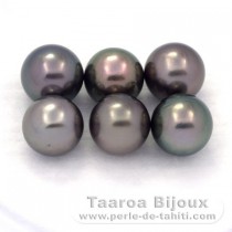 Lot de 6 Perles de Tahiti Rondes C de 9 à 9.3 mm