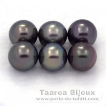 Lot de 6 Perles de Tahiti Rondes C de 9 à 9.2 mm