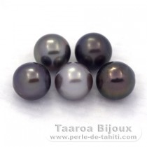 Lot de 5 Perles de Tahiti Rondes C de 8.7 à 8.9 mm