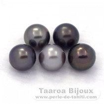 Lot de 5 Perles de Tahiti Rondes C de 8.7  8.9 mm