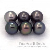 Lot de 6 Perles de Tahiti Rondes D de 8.1  8.4 mm