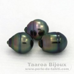 Lot de 3 Perles de Tahiti Cercles B 10 mm