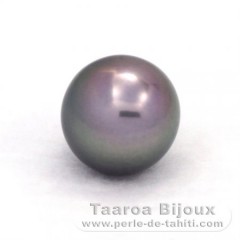 Superbe perle de Tahiti Ronde B 12.6 mm