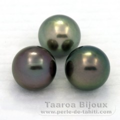 Lot de 3 Perles de Tahiti Rondes C de 11.1 à 11.4 mm