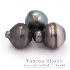 Lot de 3 Perles de Tahiti Cerclées C de 13 à 13.4 mm