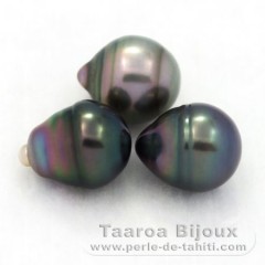 Lot de 3 Perles de Tahiti Cercles B de 9.3  9.6 mm