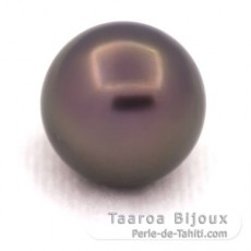 Superbe perle de Tahiti Ronde BC 12.4 mm