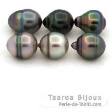 Lot de 6 Perles de Tahiti Cerclées B de 9.7 à 9.9 mm