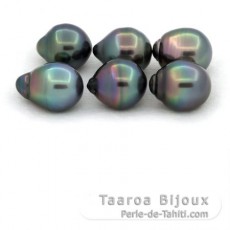 Lot de 6 Perles de Tahiti Cercles B de 10  10.4 mm