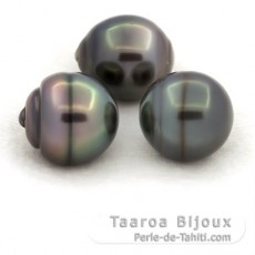 Lot de 3 Perles de Tahiti Cercles C de 12.5  12.9 mm