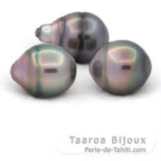 Lot de 3 Perles de Tahiti Cerclées B de 11.5 à 11.9 mm