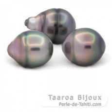 Lot de 3 Perles de Tahiti Cercles B de 11.5  11.9 mm