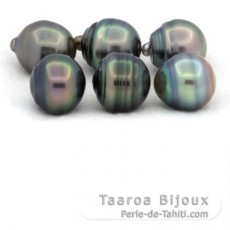 Lot de 6 Perles de Tahiti Cerclées C de 12 à 12.3 mm