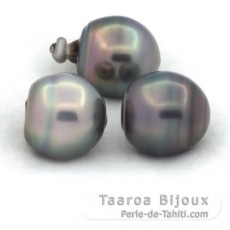 Lot de 3 Perles de Tahiti Cercles C de 13.1  13.3 mm