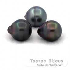 Lot de 3 Perles de Tahiti Cercles C de 12  12.4 mm