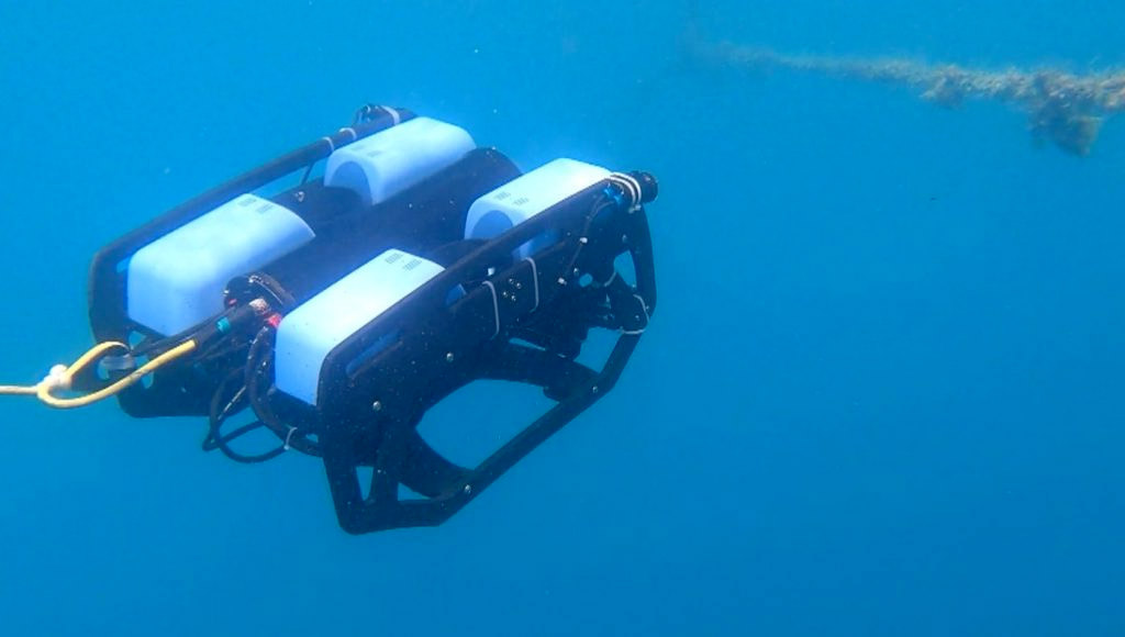 Rov Te Mā Tairoto