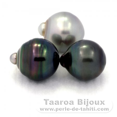 Lot de 3 Perles de Tahiti Cerclées C de 12.4 à 12.8 mm