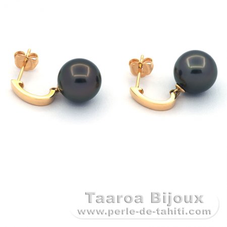 Boucles d'Oreilles en Or 18K et 2 Perles de Tahiti Rondes B 9.5 mm
