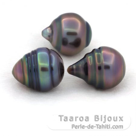 Lot de 3 Perles de Tahiti Cerclées C de 10.5 à 10.8 mm