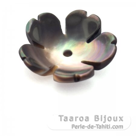 Cupule Fleur en nacre de Tahiti - Diamtre: 12 mm