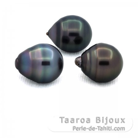 Lot de 3 Perles de Tahiti Cercles C de 11.3  11.4 mm