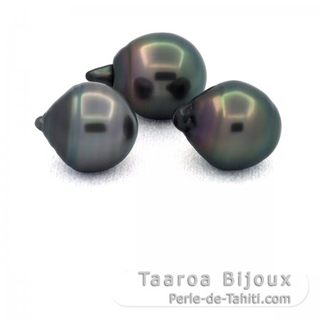 Lot de 3 Perles de Tahiti Cercles C de 11.6  11.7 mm