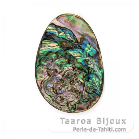 Forme ovale en nacre - 55 x 35 mm