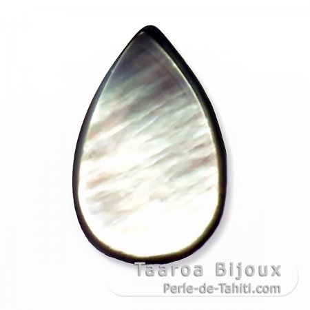 Forme goutte en nacre de Tahiti - 24 x 15 mm