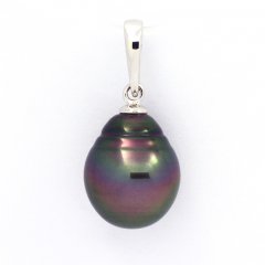 Pendentif en Argent et 1 Perle de Tahiti Cercle B 11 mm