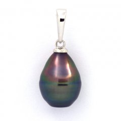 Pendentif en Argent et 1 Perle de Tahiti Cercle B 9.2 mm