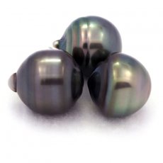 Lot de 3 Perles de Tahiti Cercles C de 12.6  12.9 mm