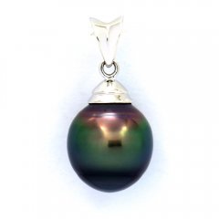 Pendentif en Argent et 1 Perle de Tahiti Cercle C 10.1 mm