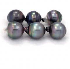Lot de 6 Perles de Tahiti Cercles D de 13  13.4 mm