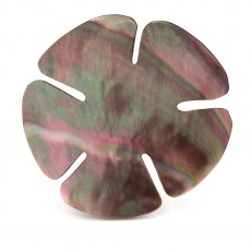 Forme ronde en nacre de Tahiti - Diamtre de 50 mm
