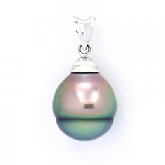 Pendentif en Argent et 1 Perle de Tahiti Cercle C 11.4 mm