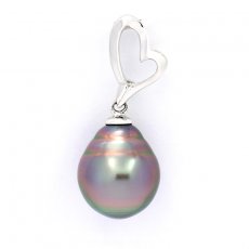 Pendentif en Argent et 1 Perle de Tahiti Cercle B 10.5 mm
