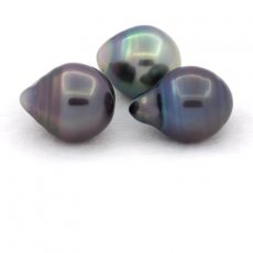 Lot de 3 Perles de Tahiti Cercles C de 10.5  10.8 mm