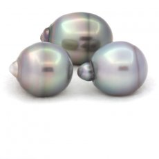 Lot de 3 Perles de Tahiti Cercles B/C de 12.1  12.2 mm