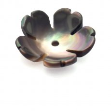 Cupule Fleur en nacre de Tahiti - Diamtre: 12 mm