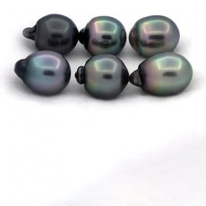 Lot de 6 Perles de Tahiti Semi-Baroques B/C de 11.5  11.9 mm